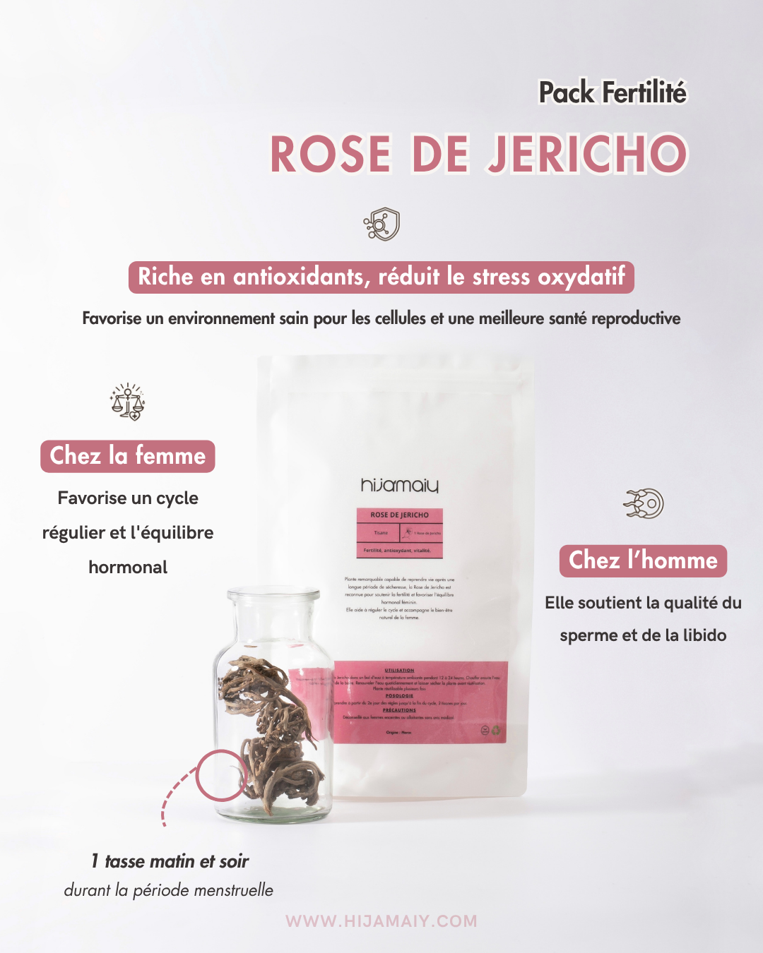 Rose de Jericho - Chajarat Maryam