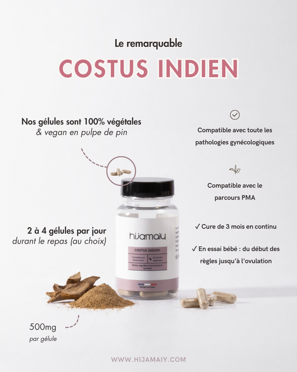 Gélules de Costus Indien