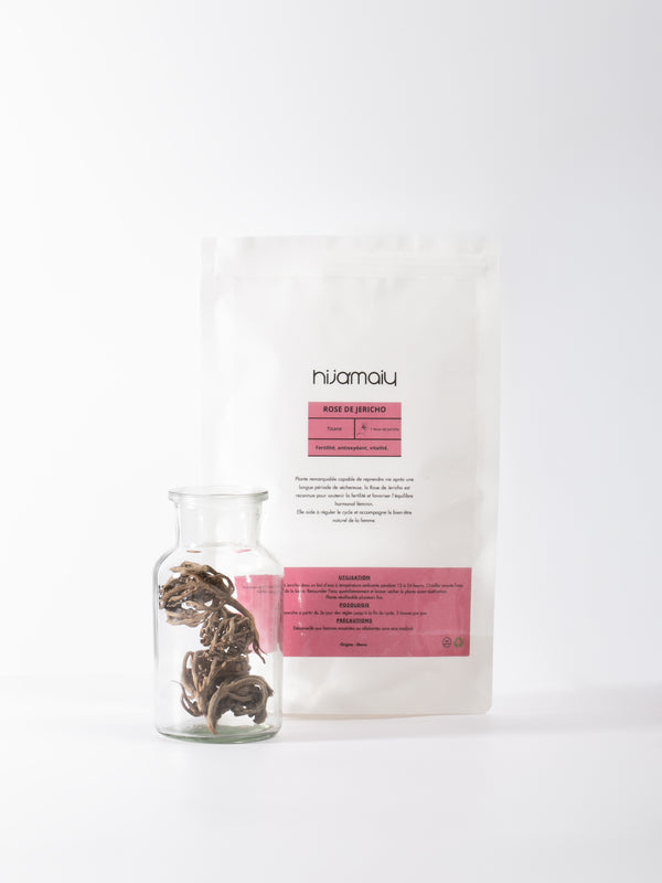 Rose de Jericho - Chajarat Maryam